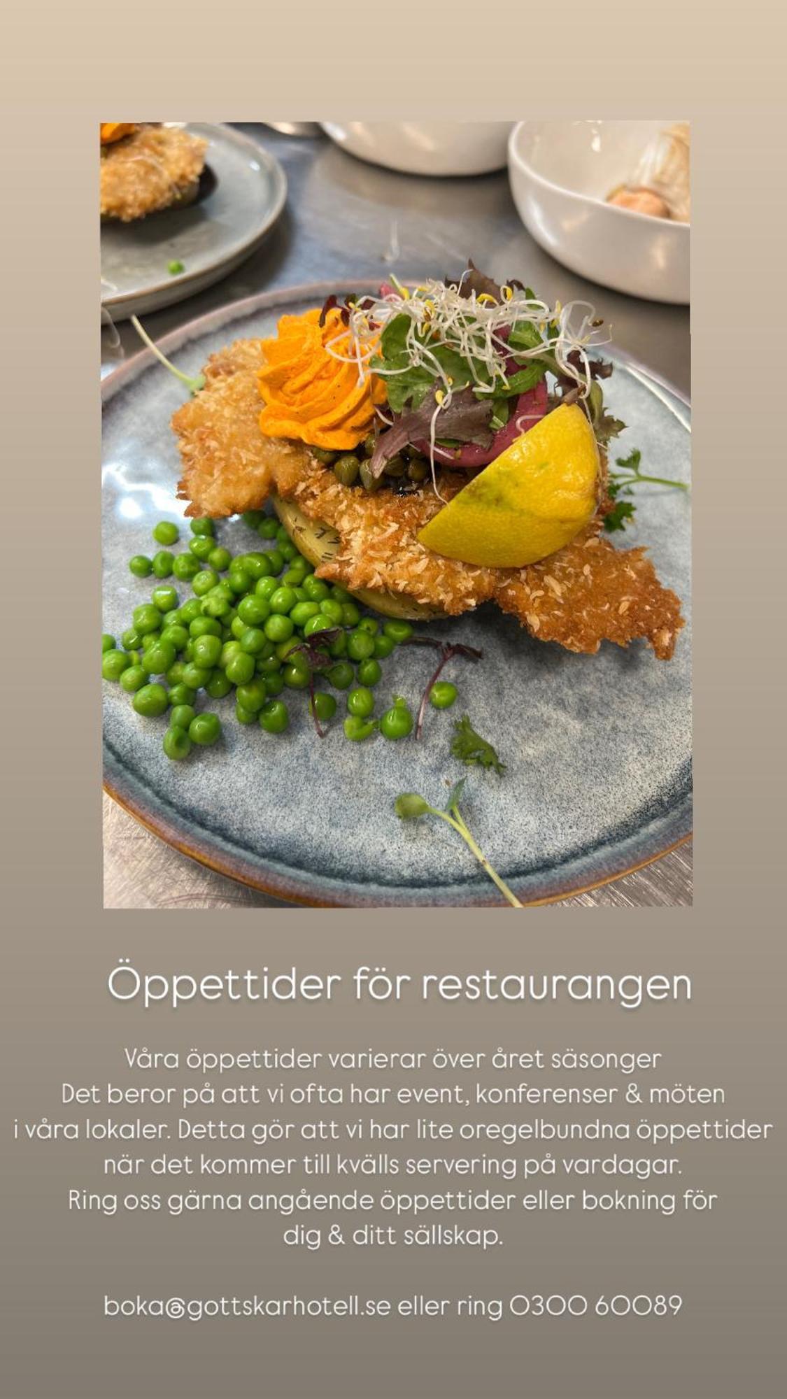 Hotel Gottskaer Konferens - Event & Logi Onsala Exteriér fotografie